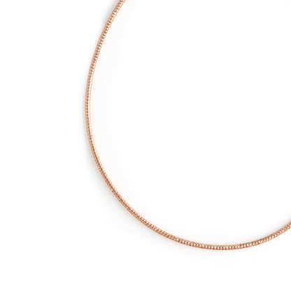 Single Wire Anklet